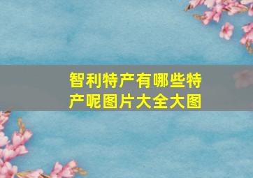 智利特产有哪些特产呢图片大全大图