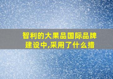 智利的大果品国际品牌建设中,采用了什么措