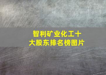 智利矿业化工十大股东排名榜图片