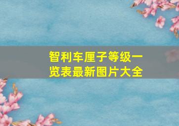 智利车厘子等级一览表最新图片大全