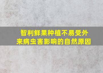 智利鲜果种植不易受外来病虫害影响的自然原因