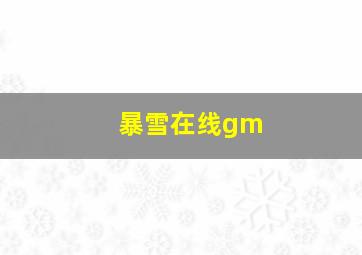 暴雪在线gm