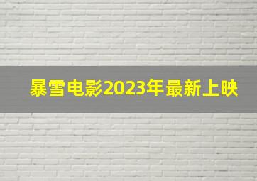 暴雪电影2023年最新上映