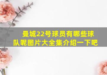 曼城22号球员有哪些球队呢图片大全集介绍一下吧