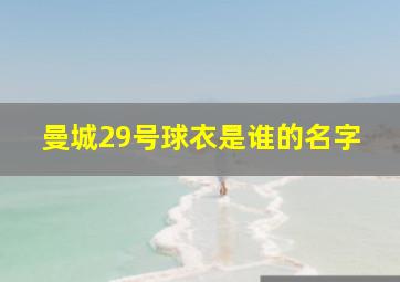 曼城29号球衣是谁的名字