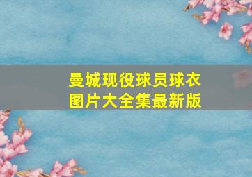 曼城现役球员球衣图片大全集最新版