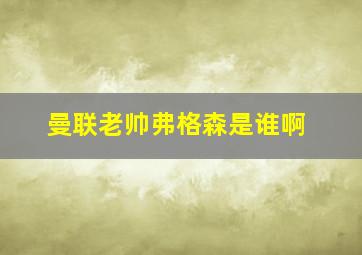 曼联老帅弗格森是谁啊