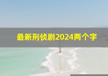 最新刑侦剧2024两个字