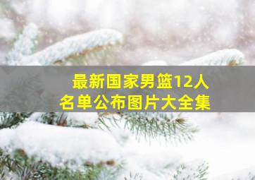 最新国家男篮12人名单公布图片大全集