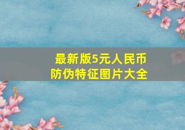 最新版5元人民币防伪特征图片大全