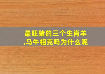 最旺猪的三个生肖羊,马牛相克吗为什么呢