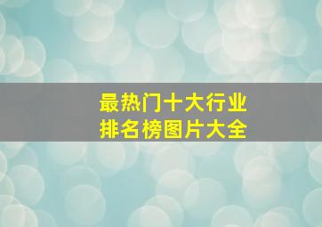 最热门十大行业排名榜图片大全