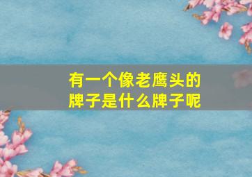 有一个像老鹰头的牌子是什么牌子呢