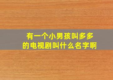 有一个小男孩叫多多的电视剧叫什么名字啊