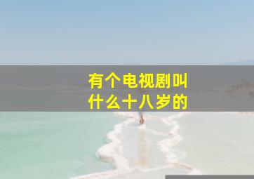 有个电视剧叫什么十八岁的