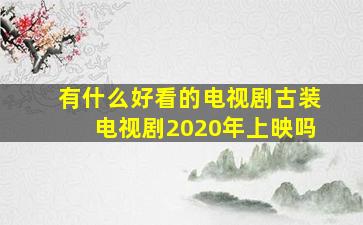 有什么好看的电视剧古装电视剧2020年上映吗