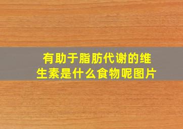 有助于脂肪代谢的维生素是什么食物呢图片