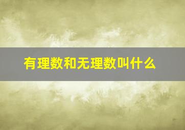 有理数和无理数叫什么