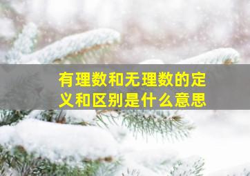 有理数和无理数的定义和区别是什么意思