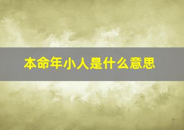 本命年小人是什么意思