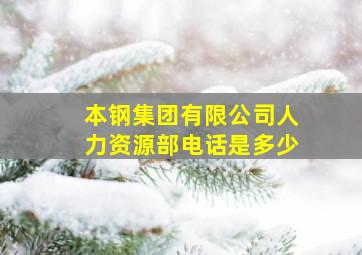 本钢集团有限公司人力资源部电话是多少