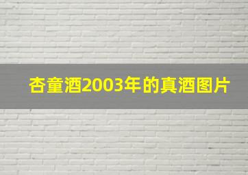 杏童酒2003年的真酒图片