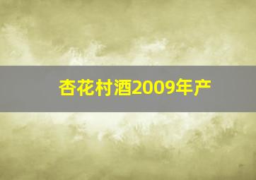 杏花村酒2009年产