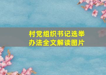 村党组织书记选举办法全文解读图片