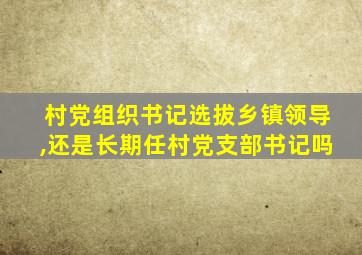 村党组织书记选拔乡镇领导,还是长期任村党支部书记吗