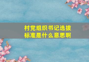 村党组织书记选拔标准是什么意思啊