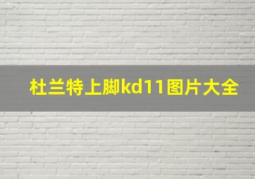 杜兰特上脚kd11图片大全