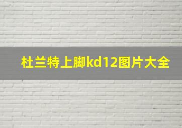 杜兰特上脚kd12图片大全