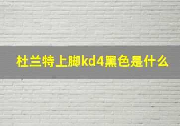 杜兰特上脚kd4黑色是什么