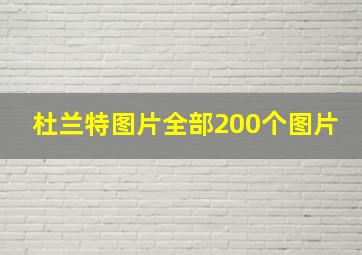 杜兰特图片全部200个图片