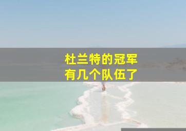 杜兰特的冠军有几个队伍了