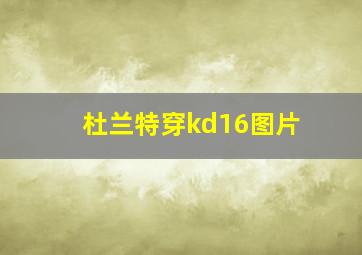 杜兰特穿kd16图片