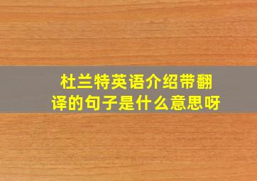 杜兰特英语介绍带翻译的句子是什么意思呀