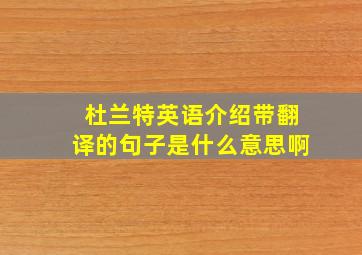 杜兰特英语介绍带翻译的句子是什么意思啊