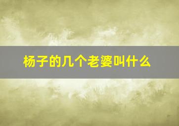 杨子的几个老婆叫什么