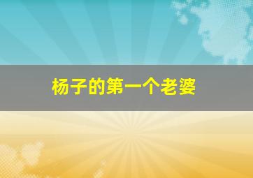 杨子的第一个老婆