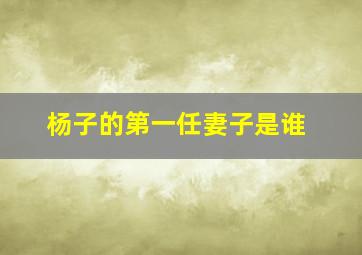 杨子的第一任妻子是谁