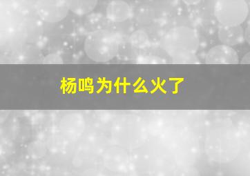 杨鸣为什么火了