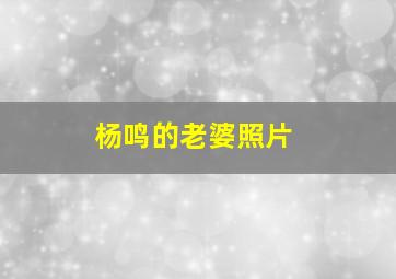 杨鸣的老婆照片