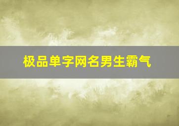 极品单字网名男生霸气