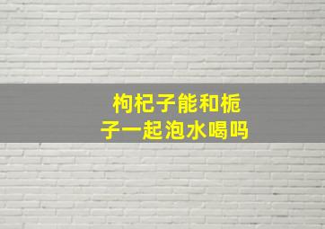 枸杞子能和栀子一起泡水喝吗