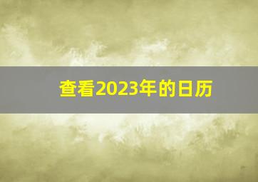 查看2023年的日历