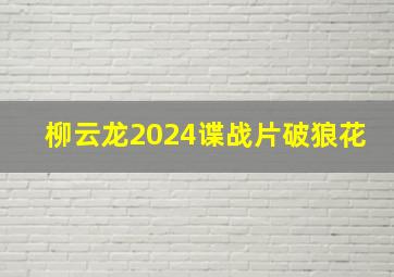 柳云龙2024谍战片破狼花