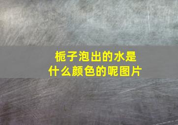 栀子泡出的水是什么颜色的呢图片