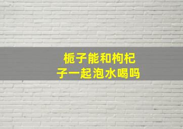 栀子能和枸杞子一起泡水喝吗