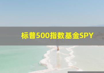 标普500指数基金SPY